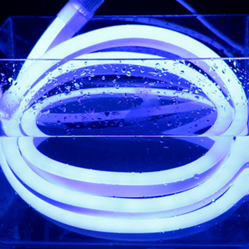 neon blue | Christmas Holiday Decoration 24v Flexible LED Neon Blue Neon Tube Lights for Rooms