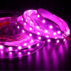 LED Light Strips | Purple LED Strip Lights Flexible SMD 5050 LED Strips 24 Volt LED Light Strips for HolidayHomeParty