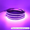 ws2812 LED Strip Light | 96ledsm DMX addressable Dream Color WS2812 LED Strip IP20 IP65 IP67 IP68