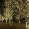 led christmas lights string | Party Wedding 24V 100m 1000LED Outdoor LED Holiday Decoration String Lights