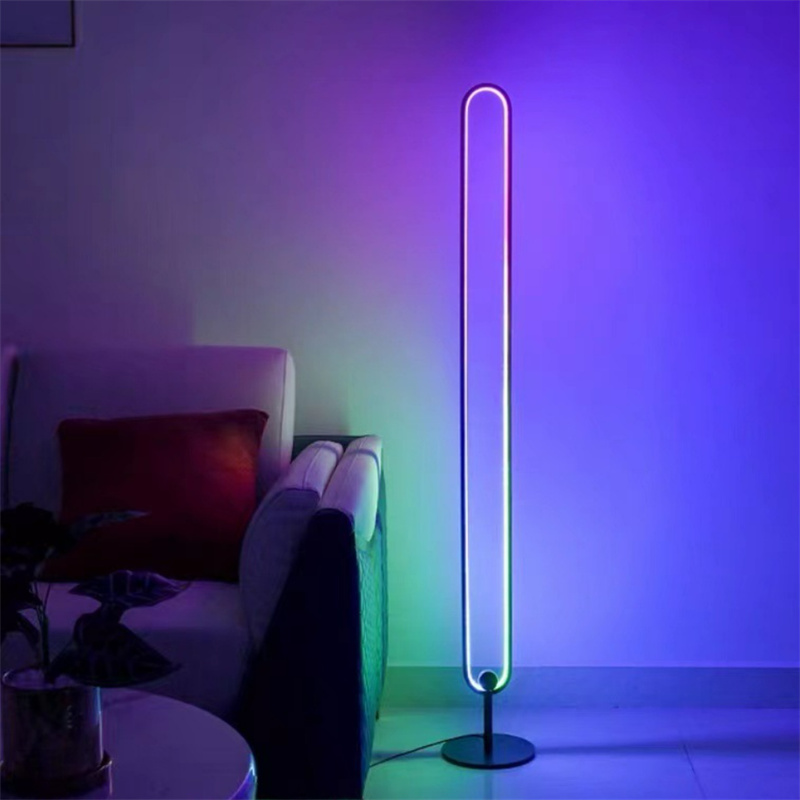 Elliptical Ring Standing Floor Lamp | Bluetooth APP Minimalist RGB Oval Wall Light Remote Control Elliptical Ring Standing Floor Lamp for Living Room