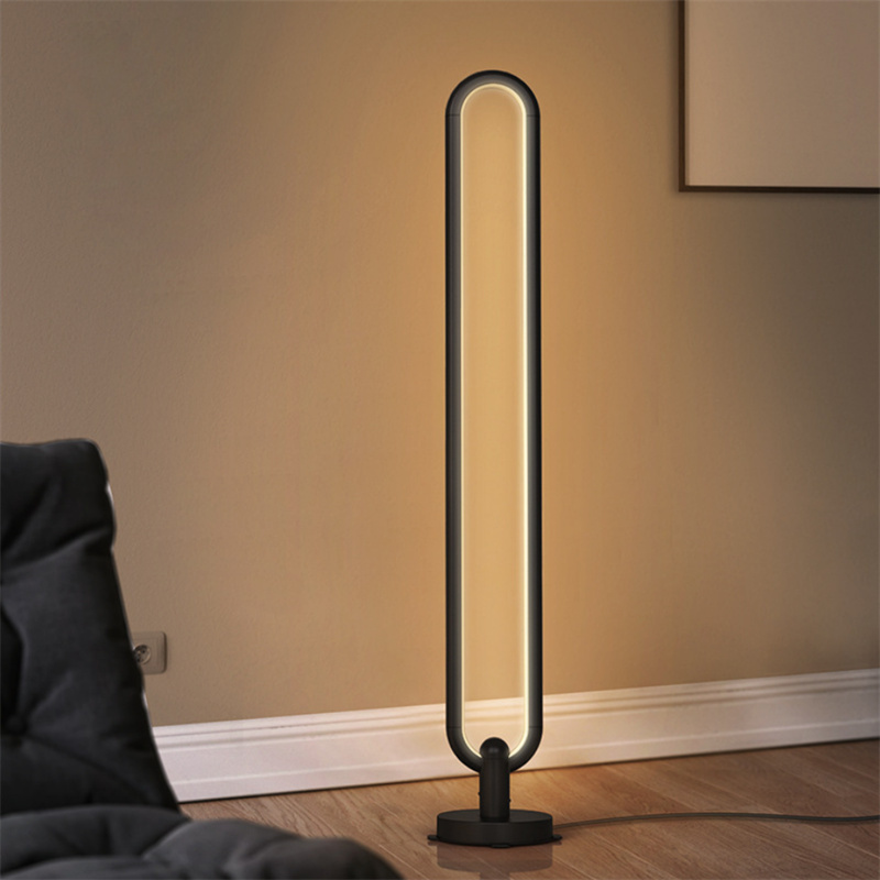 oval led light | Bluetooth APP Minimalist RGB Oval Wall Light Remote Control Elliptical Ring Standing Floor Lamp for Living Room