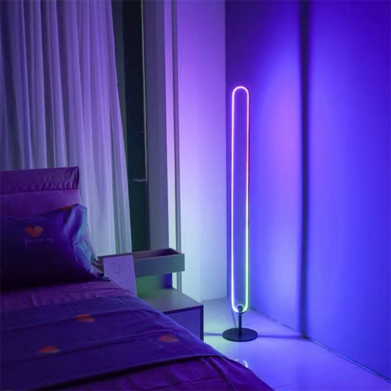 owalna lampa ścienna rgb | Bluetooth APP Minimalistyczny owalny kinkiet RGB Pilot Eliptyczny pierścień Stojąca lampa podłogowa do salonu