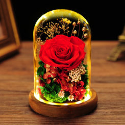 preserved rose in glass dome | preserved rose in glass dome