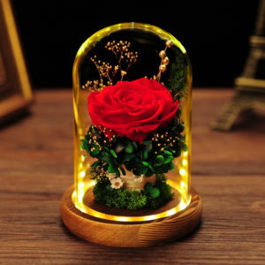 vidrio de rosas preservadas