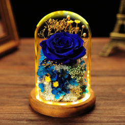 preserved roses in glass