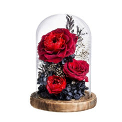 eternal roses glass
