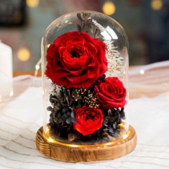 light roses glass