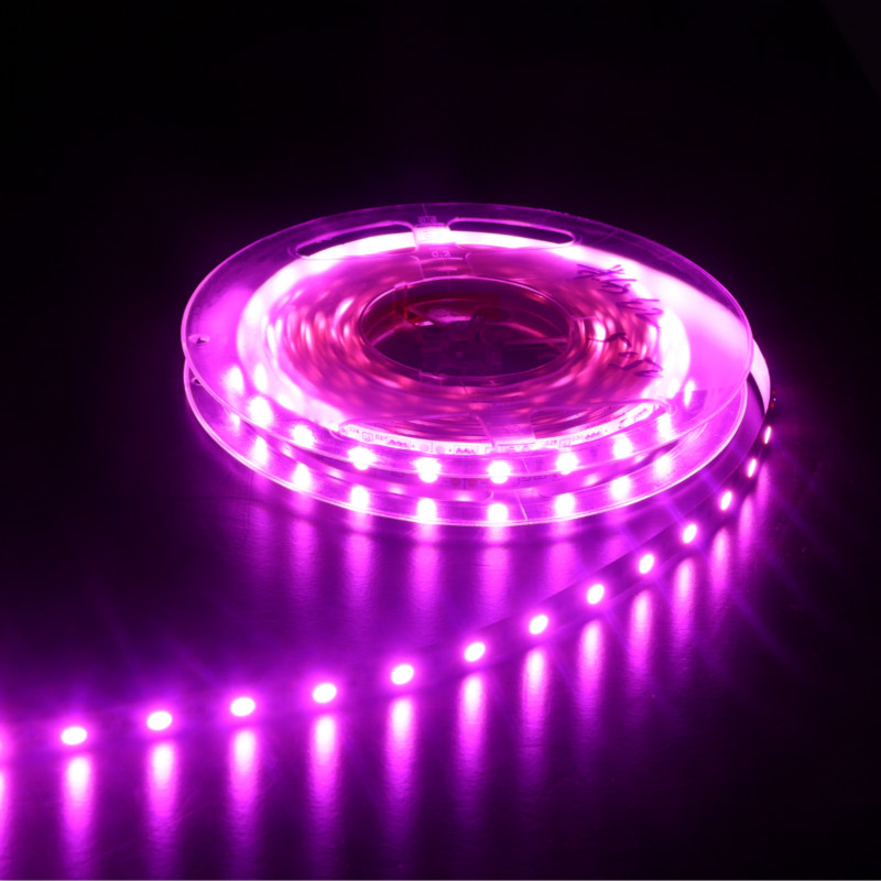 Bandă LED violet | Bandă LED mov Benzi flexibile SMD 5050 LED Benzi LED de 24 volți pentru HolidayHomeParty